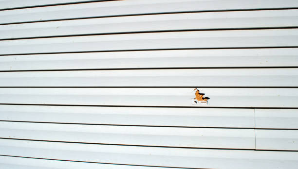 Best Custom Trim and Detailing for Siding  in Powell, AL